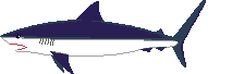 tiburón imaxes-animadas-gif